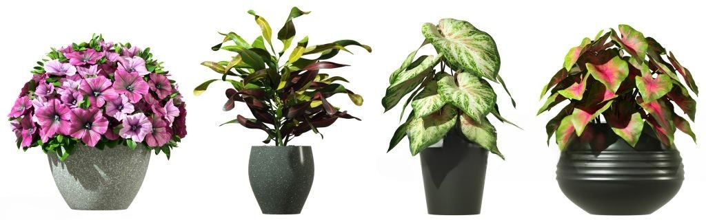 Grow Your Green Space